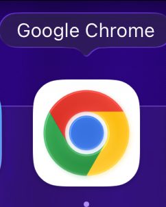 Chrome 浏览器图标